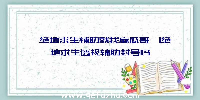 「绝地求生辅助就找麻瓜哥」|绝地求生透视辅助封号吗